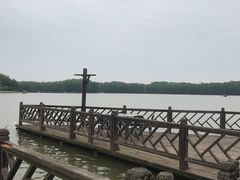 -上海海湾国家森林公园