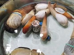 -强记海鲜·大排档(蛇口新街店)