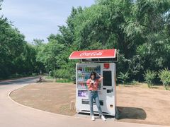 -朝阳公园游乐园