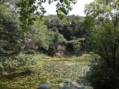 -峙山公园