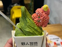 -野人牧坊Gelato(苏州中心店)