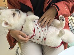 -怪兽屋·羊驼·猫咖·狗咖(俊华广场店)