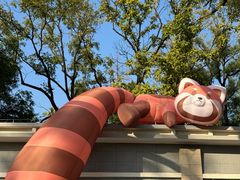 -云溪植物园