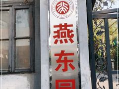 -北京大学燕东园
