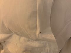 -青岛银沙滩温德姆至尊酒店