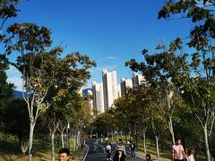 -牛岗山公园