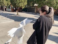 -龙口南山旅游景区