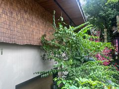 -王捌小院(红花坡店)