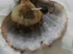 -宾朋海鲜特色美食餐厅·纯手工鲅鱼水饺(兴海路店)