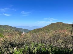 -大围山国家森林公园