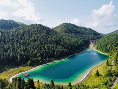 -武陵山森林公园