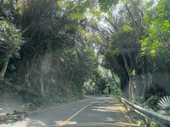 -海南热带雨林国家公园吊罗山景区