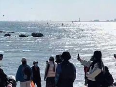 -老虎石海上公园