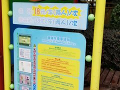 -云里梦想乐园