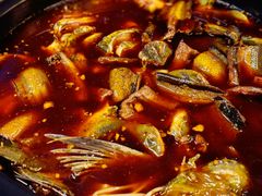 -金海椒罐罐鲢鱼(东方桂苑店)