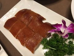 鸿运金猪-海口万豪中餐厅·粤菜·海南菜· 平价海鲜·茶点· KTV包房