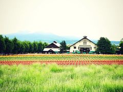 -富田农场