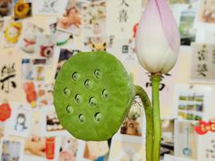 -金茂览秀城