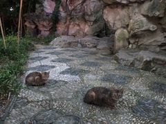 -静安公园(静安寺街道)