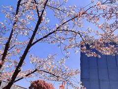 -龙美术馆(西岸馆)
