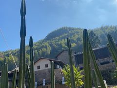 -MOJ coffee(瓯海泽雅水碓坑店)