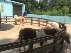 -昆明动物园