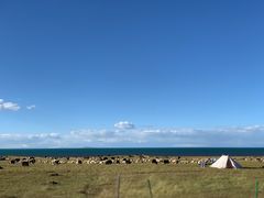 -青海湖国家重点风景名胜区