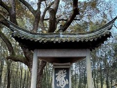 -兰亭风景区