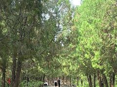 -青州市云门山风景区