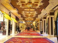 -拉斯维加斯永利酒店