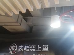 -老板恋上鱼(印象城店)