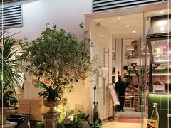 门面-more than meow吴止猫主题餐厅(承德 中船汇店)