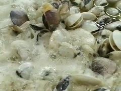 -顺德哥卜卜贝(旗舰店)