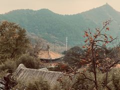 -潭柘寺景区