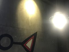 -疯鱼军团·正宗烤鱼(红山店)