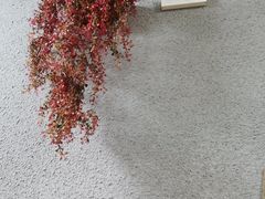 -烧烤佬(新基路店)