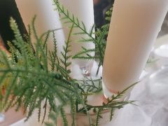 -探窝·竹笙椰子鸡(杨箕店)