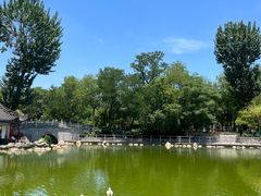 -莲湖公园