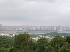 -茶颜悦色(岳麓山顶店)