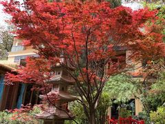 -翠湖里(翠湖南路店)