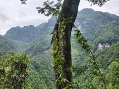 -峨眉山风景名胜区