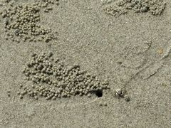 -北海市海滨公园