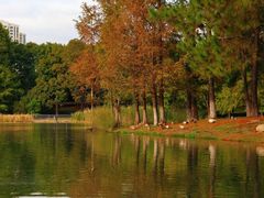 -白塘生态植物园