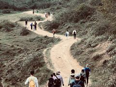 -武陵山森林公园