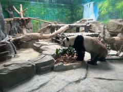 -灵玲国际马戏城