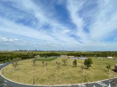 -春花秋色城市公园