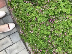 -西安交通大学(雁塔校区)