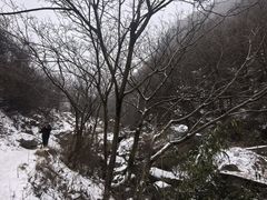 -抱龙峪