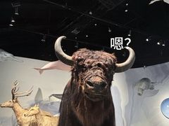 -中国湿地博物馆