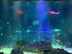 -沈阳海洋探索中心